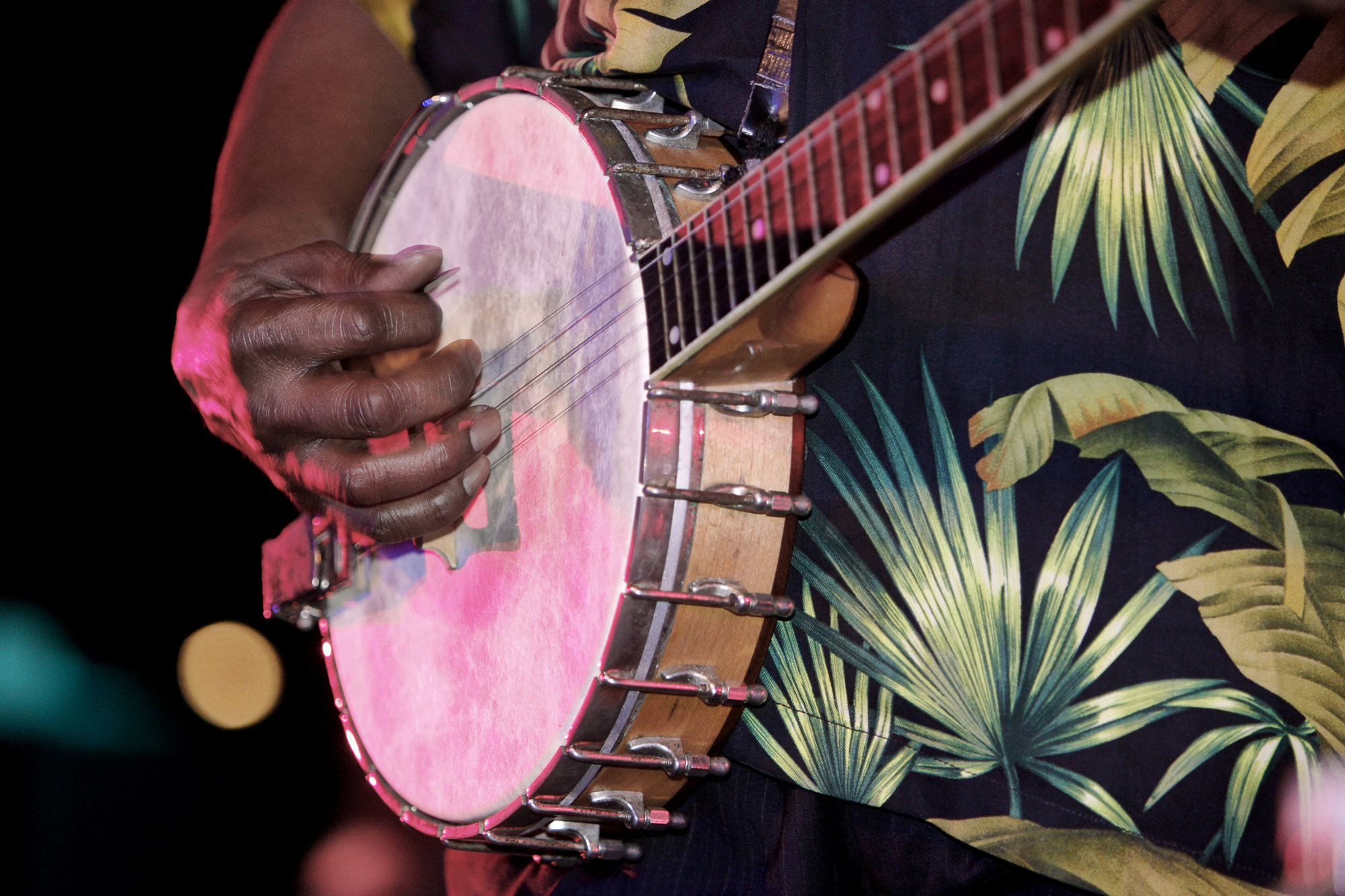 Henry Saint Clair "Taj Mahal" Fredericks - Legendary R&B Cruise