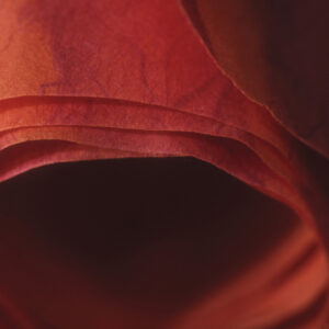 Studio 8 - Vermont USA